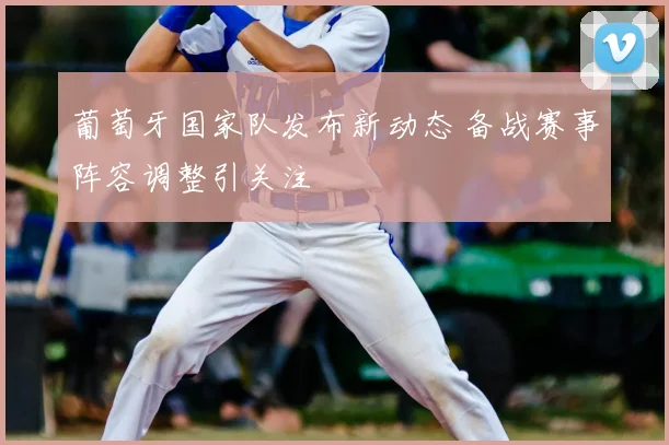 葡萄牙国家队发布新动态 备战赛事阵容调整引关注