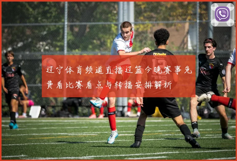 辽宁体育频道直播辽篮今晚赛事免费看比赛看点与转播安排解析