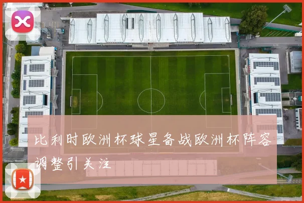 比利时欧洲杯球星备战欧洲杯阵容调整引关注